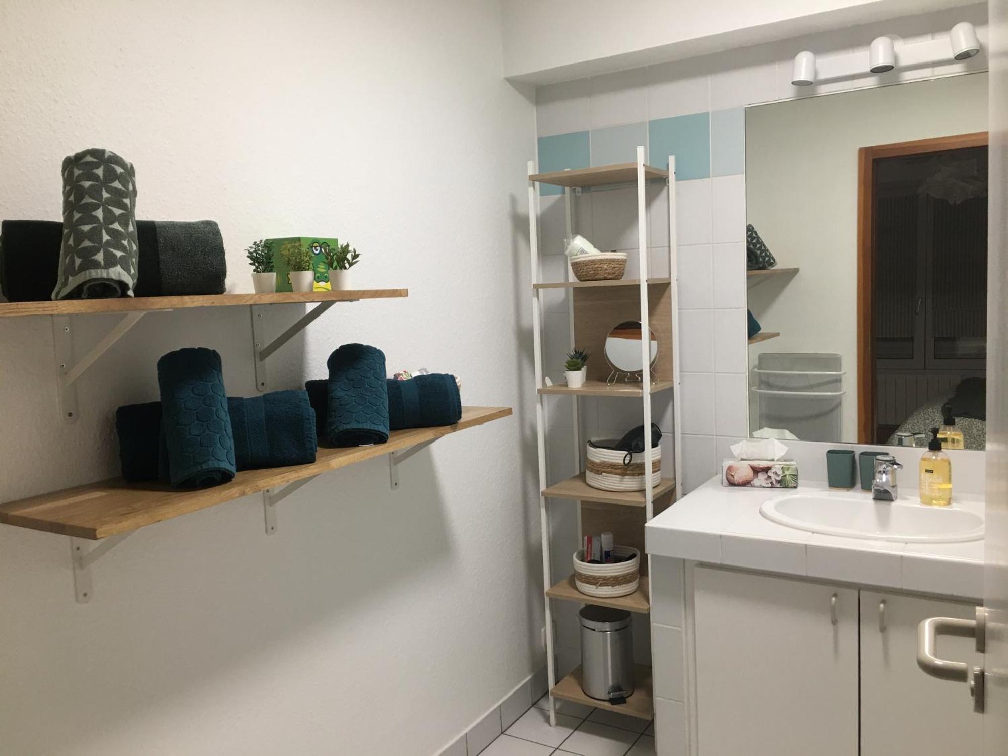 La Sinne Appartement 2 Pieces Avec Garage Mulhouse Ngoại thất bức ảnh