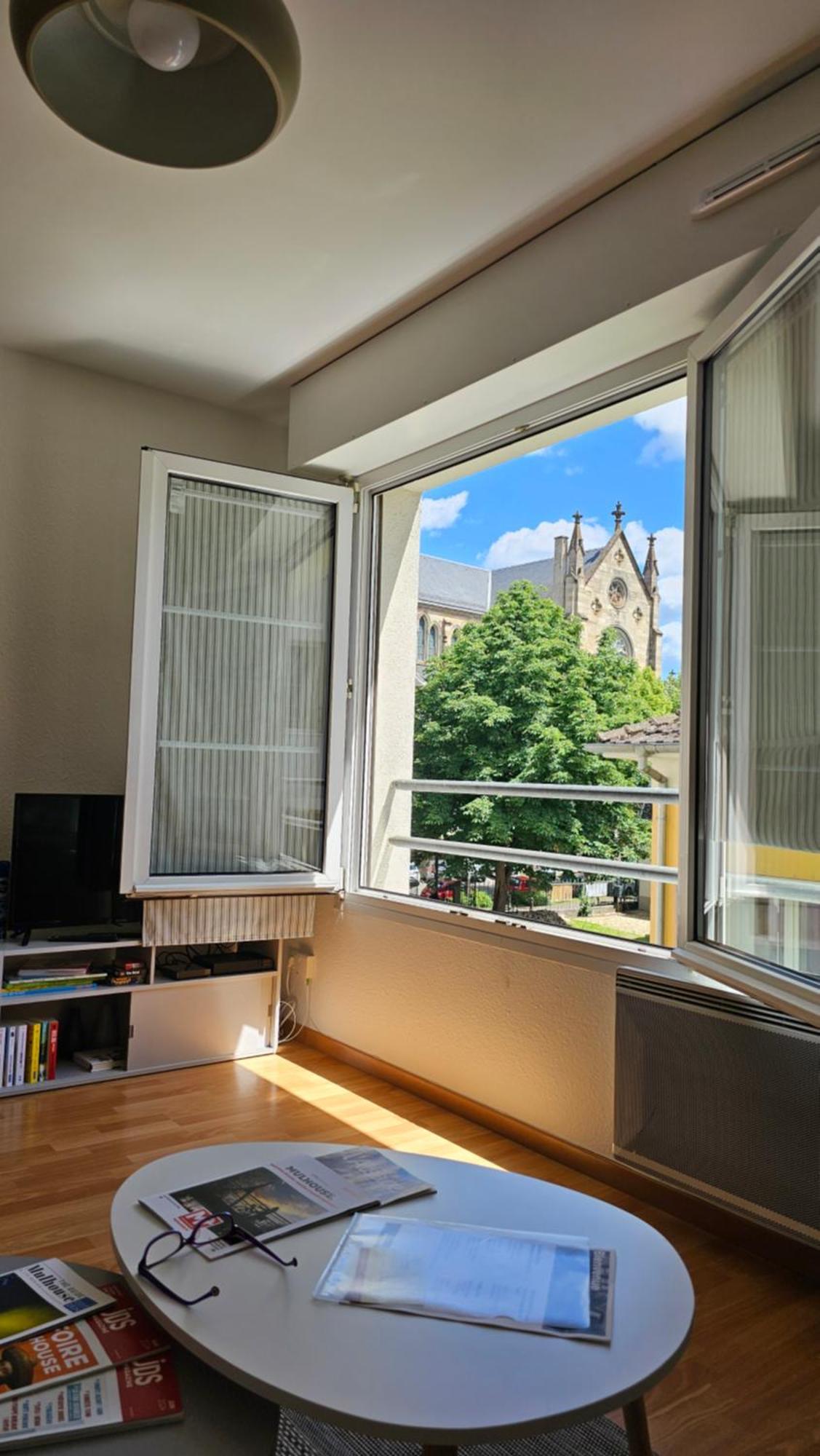La Sinne Appartement 2 Pieces Avec Garage Mulhouse Ngoại thất bức ảnh